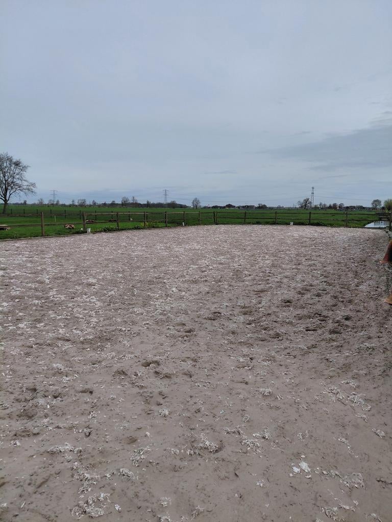 Stalling beschikbaar in Oud-Alblas, Weidegang