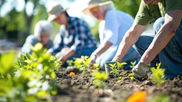 3 Percelen beschikbaar V.V. De Berndijk, Tuin en Terras, Overige Tuin en Terras, Gebruikt, Ophalen