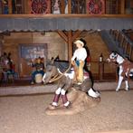 Schleich en papo western, cowboy, paard,huifkar enz., Verzamelen, Dierenverzamelingen, Ophalen of Verzenden, Zo goed als nieuw