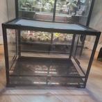 Terrarium 60x45x45, Ophalen, Zo goed als nieuw, Terrarium of Paludarium