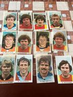 Go ahead eagles panini vanderhout 1979-1980, Ophalen of Verzenden, Gebruikt, Overige binnenlandse clubs, Poster, Plaatje of Sticker