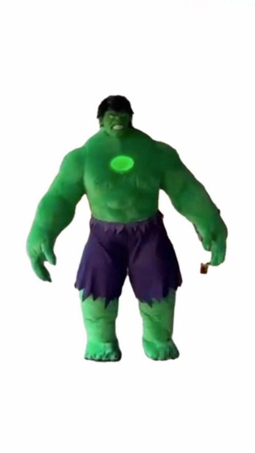 Hulk Mascotte Te Huur, Kleding | Heren, Carnavalskleding en Feestkleding, Zo goed als nieuw, Carnaval, Overige maten, Ophalen of Verzenden
