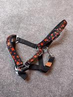 Halster maat shetlander/kleine pony zwart met sterren, Ophalen of Verzenden, Overige soorten