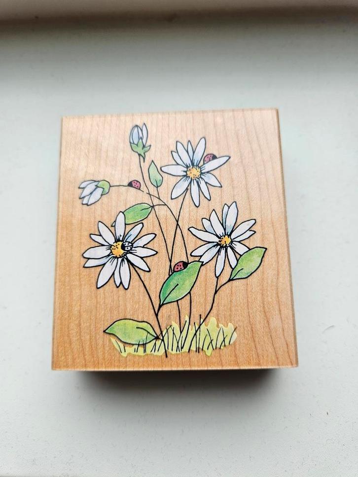 Penny Black Houten Stempel - Madeliefjes, Hobby en Vrije tijd, Stempelen, Nieuw, Houten stempel, Ophalen