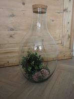 Glazen vaas pot stolp terrarium, Ophalen, Overige kleuren, 50 tot 75 cm, Glas