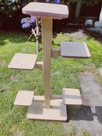 Planten standaard, Ophalen of Verzenden, Overige soorten, Minder dan 100 cm