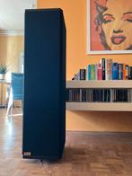 LyricAudio Luidsprekers - High-End NL, Gebruikt, 60 tot 120 watt, Front, Rear of Stereo speakers, Ophalen