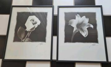 Fotolijst met bloem zwart wit 52 x 42 cm 2 stuks