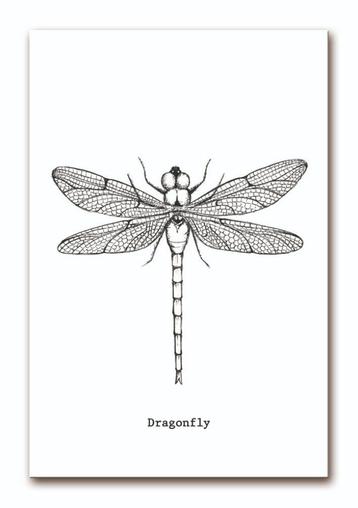 Poster Libelle A4 zwart-wit monochrome decoratie kinderkamer beschikbaar voor biedingen