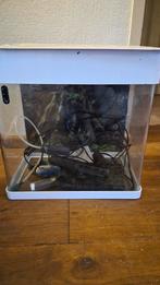 Superfish Panorama 35, Ophalen, Zo goed als nieuw, Leeg aquarium