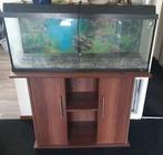 Aquarium 3.80  bieden vanaf 150 euro, Dieren en Toebehoren, Vissen | Aquaria en Toebehoren, Ophalen of Verzenden, Leeg aquarium