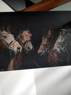Paarden foto op canvas, Ophalen