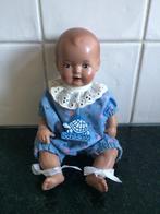 Schildkrot pop - 16 cm, Ophalen of Verzenden, Zo goed als nieuw, Pop