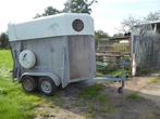 paardentrailer Paradiso, Dieren en Toebehoren, Schapen, Geiten en Varkens, Mannelijk, Geit, 6 jaar of ouder