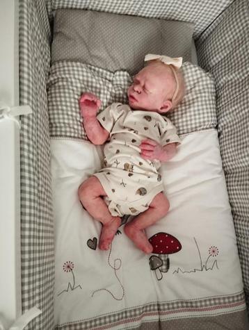 silicone baby booboo met origineel certificaat Janine Gisy beschikbaar voor biedingen