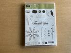 Stampin up DAISY DELIGHT, Ophalen of Verzenden, Zo goed als nieuw, Clearstamp