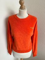 King Louie maat M oranje badstoffen trui 2656, Kleding | Dames, Truien en Vesten, Maat 38/40 (M), Oranje, Ophalen of Verzenden