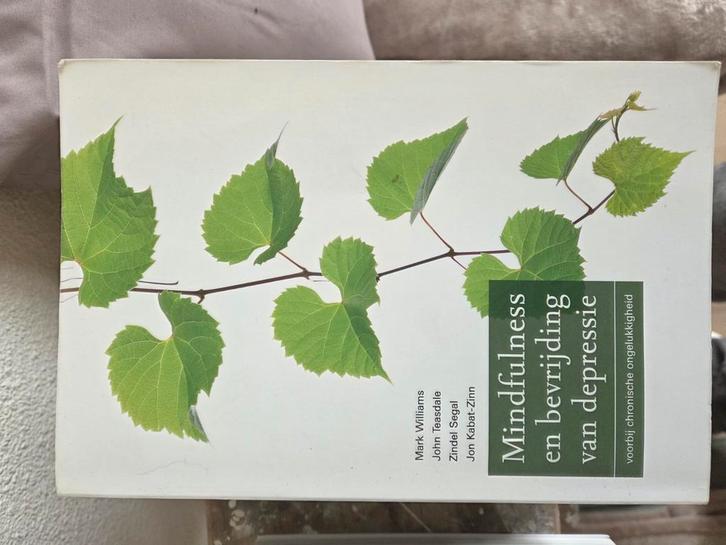 Mark Williams - Mindfulness en bevrijding van depressie, Boeken, Psychologie, Zo goed als nieuw, Ophalen of Verzenden