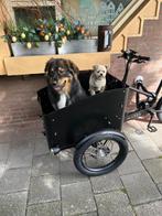 Matts elektrische bakfiets, Fietsen en Brommers, Fietsen | Bakfietsen, Elektrisch, Zo goed als nieuw, 2 kinderen, Ophalen