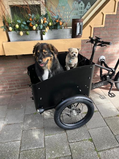 Matts elektrische bakfiets, Fietsen en Brommers, Fietsen | Bakfietsen, Zo goed als nieuw, Overige merken, 2 kinderen, Elektrisch