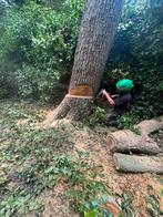 Lokaal Brandhout uit Landgoed Te Werve – Eik & Es, Tuin en Terras, Haardhout, Minder dan 3 m³, Ophalen