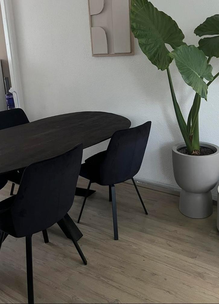 4 Zwarte Velvet Eetkamerstoelen By Boo, Huis en Inrichting, Stoelen, Gebruikt, Vier, Stof, Zwart, Ophalen of Verzenden