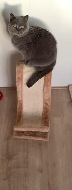 Trixie krabgolf met krabpaal, Ophalen, Zo goed als nieuw