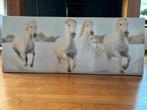 Canvas paardenschilderij, Minder dan 50 cm, Ophalen of Verzenden, Zo goed als nieuw, Schilderij