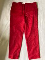Vanilia: wollen gevoerde pantalon Elements serie, Maat 38/40 (M), Verzenden, Vanilia, Lang