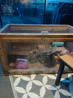 Kooi voor knaagdieren., Dieren en Toebehoren, Kooi, 110 cm of meer, Hamster, Ophalen