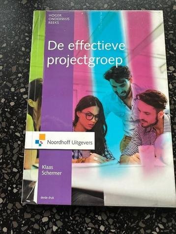 De effectieve projectgroep 9789001866297 beschikbaar voor biedingen