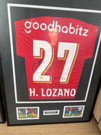 Hirving Lozano Ingelijst + gesigneerd PSV (kampioens)shirt, Ophalen, Zo goed als nieuw, PSV, Shirt
