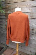Vest bruin Caroline biss mt 42 Vaste prijs, Kleding | Dames, Truien en Vesten, Bruin, Maat 42/44 (L), Ophalen of Verzenden, Zo goed als nieuw