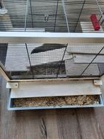 Hamsterkooi - mag snel weg - 10 euro, Kooi, Minder dan 75 cm, Minder dan 60 cm, Gebruikt