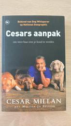 Cesar Millan - Cesars aanpak, Honden, Zo goed als nieuw, Cesar Millan, Ophalen of Verzenden