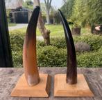 Decoratieve Hoorns op Houten Voet, Ophalen, Zo goed als nieuw