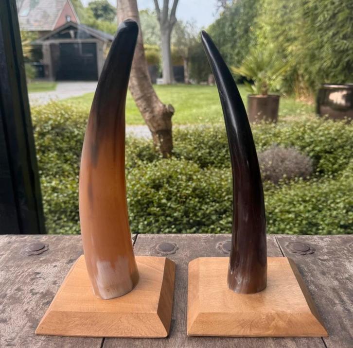 Decoratieve Hoorns op Houten Voet, Huis en Inrichting, Woonaccessoires | Overige, Zo goed als nieuw, Ophalen