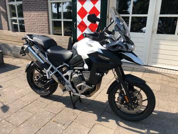 Triumph TIGER 1200 GT EXPLORER ABS (bj 2023) beschikbaar voor biedingen