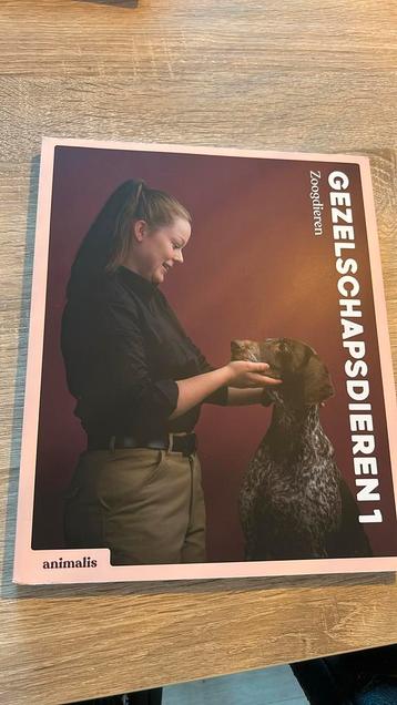 Animalis Gezelschapdieren 1 beschikbaar voor biedingen