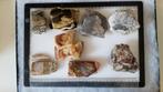 Mineralen schijven set 16 stuks, Ophalen of Verzenden, Mineraal