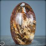 Versteend hout fossiel madagaskar +/- 13,5x10x4,5cm - 1292gr, Ophalen of Verzenden, Fossiel