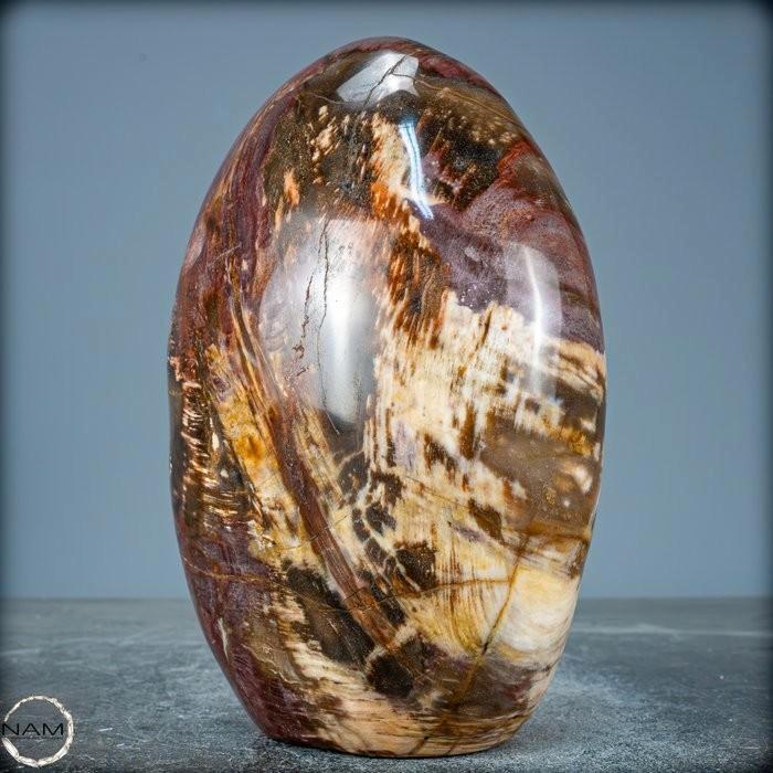 Versteend hout fossiel madagaskar +/- 13,5x10x4,5cm - 1292gr, Verzamelen, Mineralen en Fossielen, Fossiel, Ophalen of Verzenden