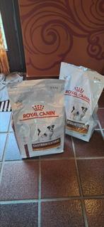 1.5 zak hond Gastrointestinal Royal Canin S, Dieren en Toebehoren, Dierenvoeding, Ophalen of Verzenden, Hond