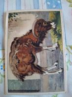 Verkade Album plaatje - Mouflon No. 104, Ophalen of Verzenden, 1920 tot 1940, Ongelopen