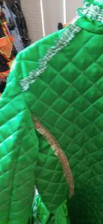 Carnaval jas groen maat 42, Ophalen of Verzenden, Zo goed als nieuw, Maat 42/44 (L), Carnaval