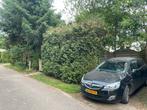 Sfeervol chalet met tuin – direct beschikbaar!, In bos, Noord-Brabant, Tuin, Recreatiepark
