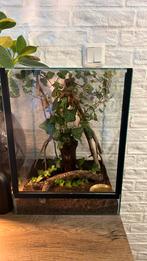 Terrarium zo goed als nieuw, Dieren en Toebehoren, Ophalen, Zo goed als nieuw
