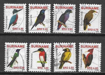 Suriname 2008 Vogel ijsvogel specht kolibri  beschikbaar voor biedingen