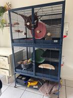 Rattenkooi, Dieren en Toebehoren, Kooi, Ophalen of Verzenden, 90 cm of meer, 110 cm of meer