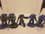 warhammer 40000 assault intercessors, Hobby en Vrije tijd, Wargaming, Ophalen of Verzenden, Warhammer, Met verf